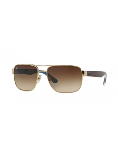 Ray-Ban 3530 Sunglasses de France