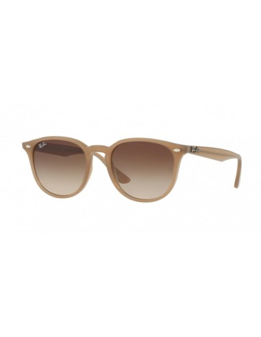 Ray-Ban 4259 Sunglasses commande en ligne