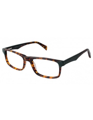 Cruz Michigan Ave Eyeglasses de l' environnement