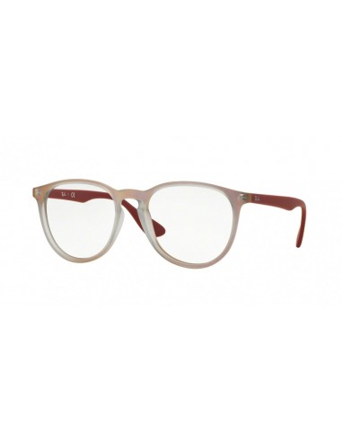 Ray-Ban Erika 7046 Eyeglasses s'inspire de l'anatomie humaine