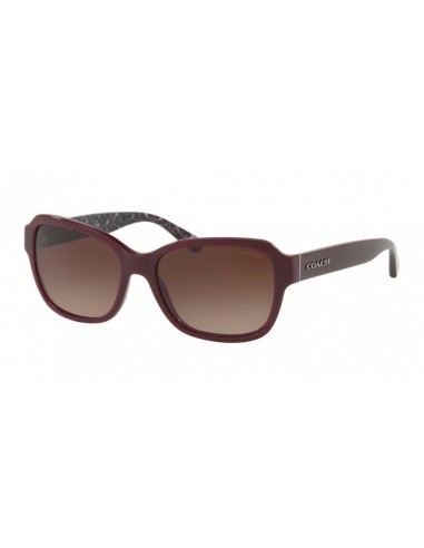 Coach L1010 8232 Sunglasses offre 