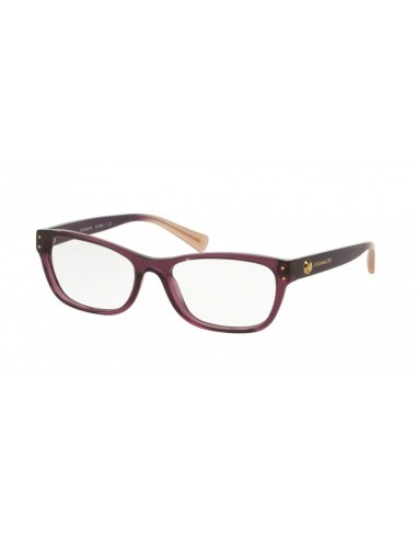 Coach 6082 Eyeglasses une grave pollution 