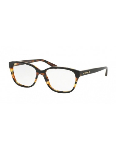 Coach 6103 Eyeglasses Livraison rapide