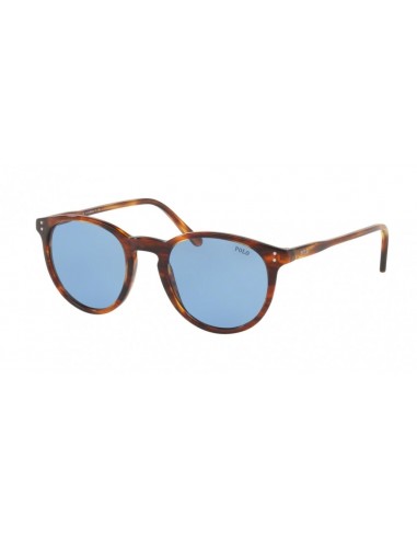 Polo 4110 Sunglasses 2023