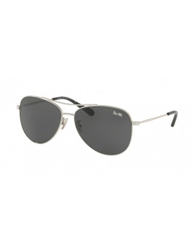 Coach L1013 7079 Sunglasses outlet